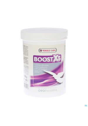 Boost X5 Pdr 500g2806297-20